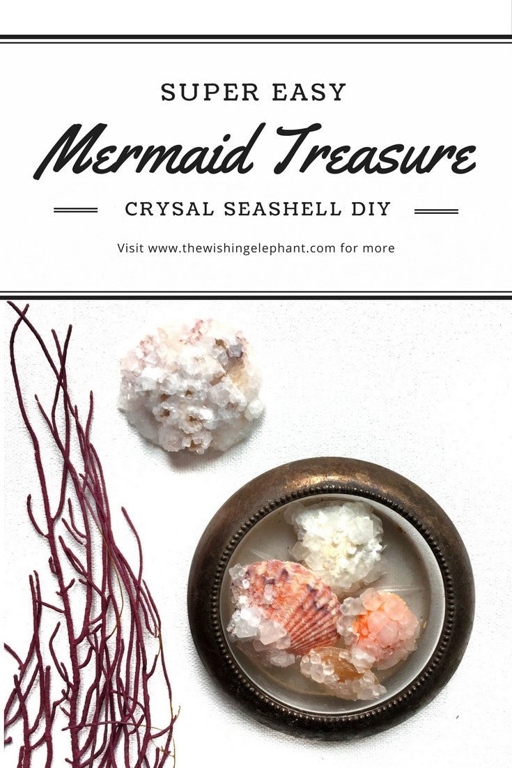 Mermaid Treasure // Crystal Seashells - The Wishing Elephant