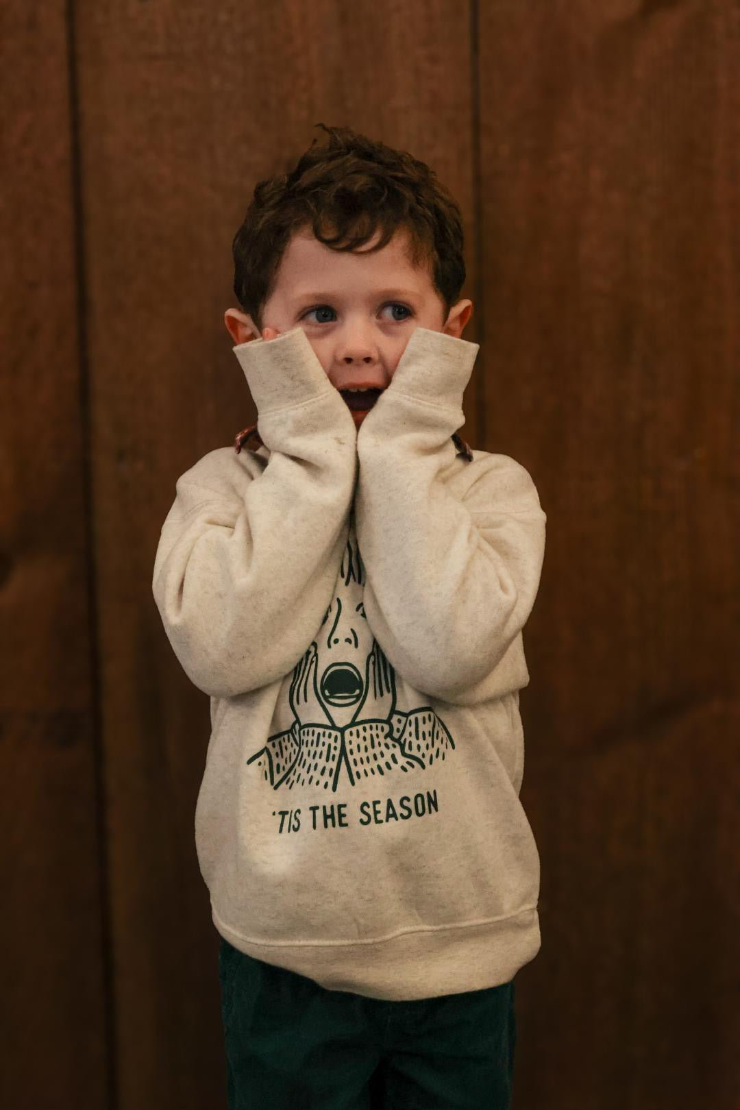 Tis The Season, Elf Christmas Sweatshirt - The Wishing Elephant
